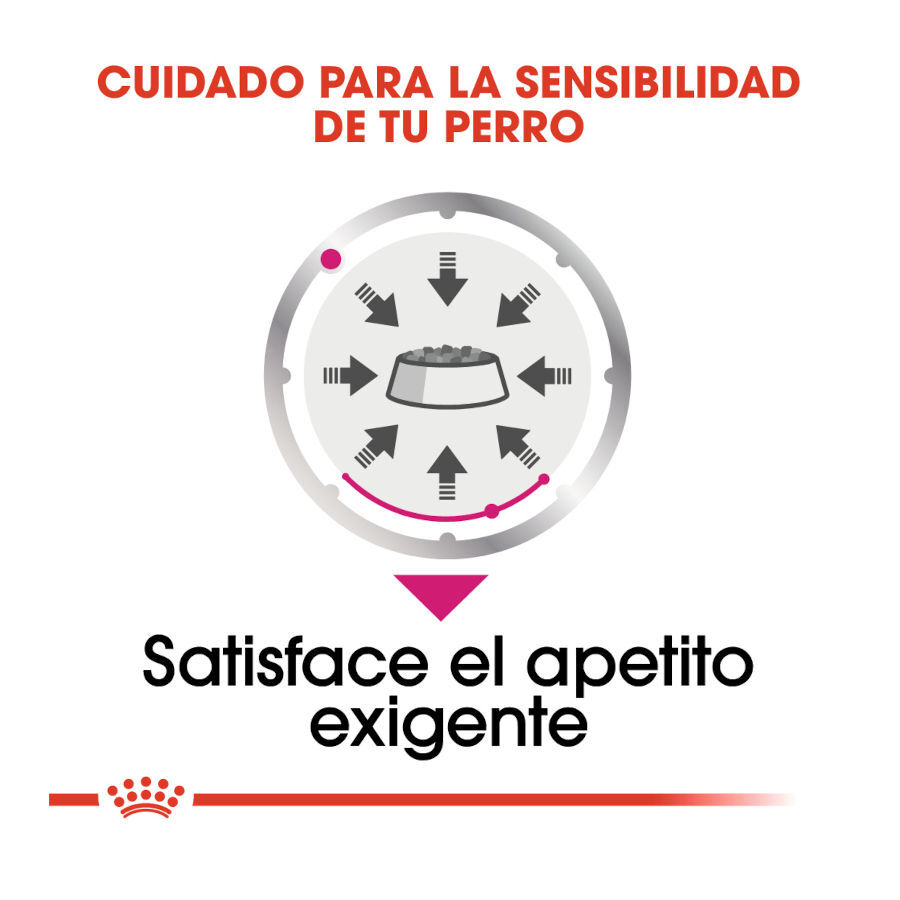 85 g Royal Canin Exigent pat&eacute; sobre para perros, , large Imagen numero 5